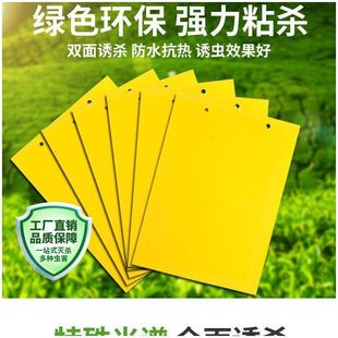 Double-Sided Sticky Insect Yellow Board Insect Trap Board for Citrus Fruit Flies, Wasps, Flies, Sticky Insect Board, Thistle Sticky Mouse Board 1H