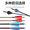 Carbon arrow, bow and arrows, equipment with accessories, archery