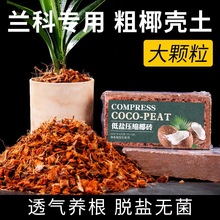 �M�ڴ�Ҭ���u���w��Ó�}�¼��m��ֲ��ʯ�������m������Ҭ�u�I�B��