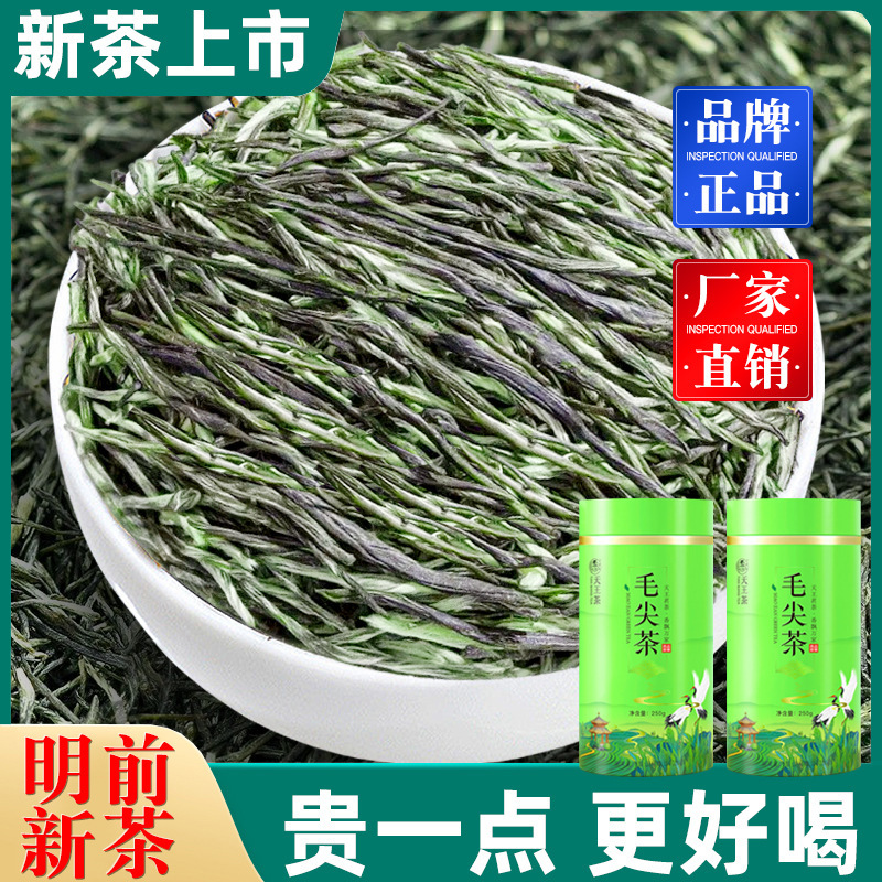 【Hot-Selling Item】Xinyang Original Maojian Tea from Henan, Strong Aroma Type, High Mountain Cloud Mist Pre-Harvest Tender Buds, Gift Box Canned Packaging