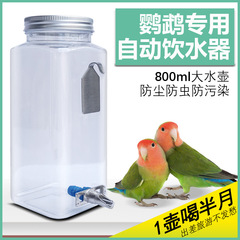 オウム自動給水器インパクトピッキングケトル 800 ミリリットル大容量牡丹/黒鳳ウサギチンチラ給水器チェーンバランス