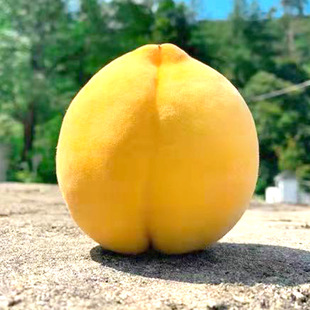 ����������l�����S���� �S�����Ҙ���  �����S�� �S�ҹ�����