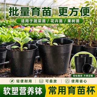 营养杯可重复育苗杯一次性大花盆黑色营养钵育苗袋塑料育苗盆