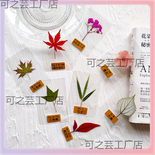 ֲ��˱��������ϰ����LѺ�������ֹ�diy���ϸɻ����ߌW������