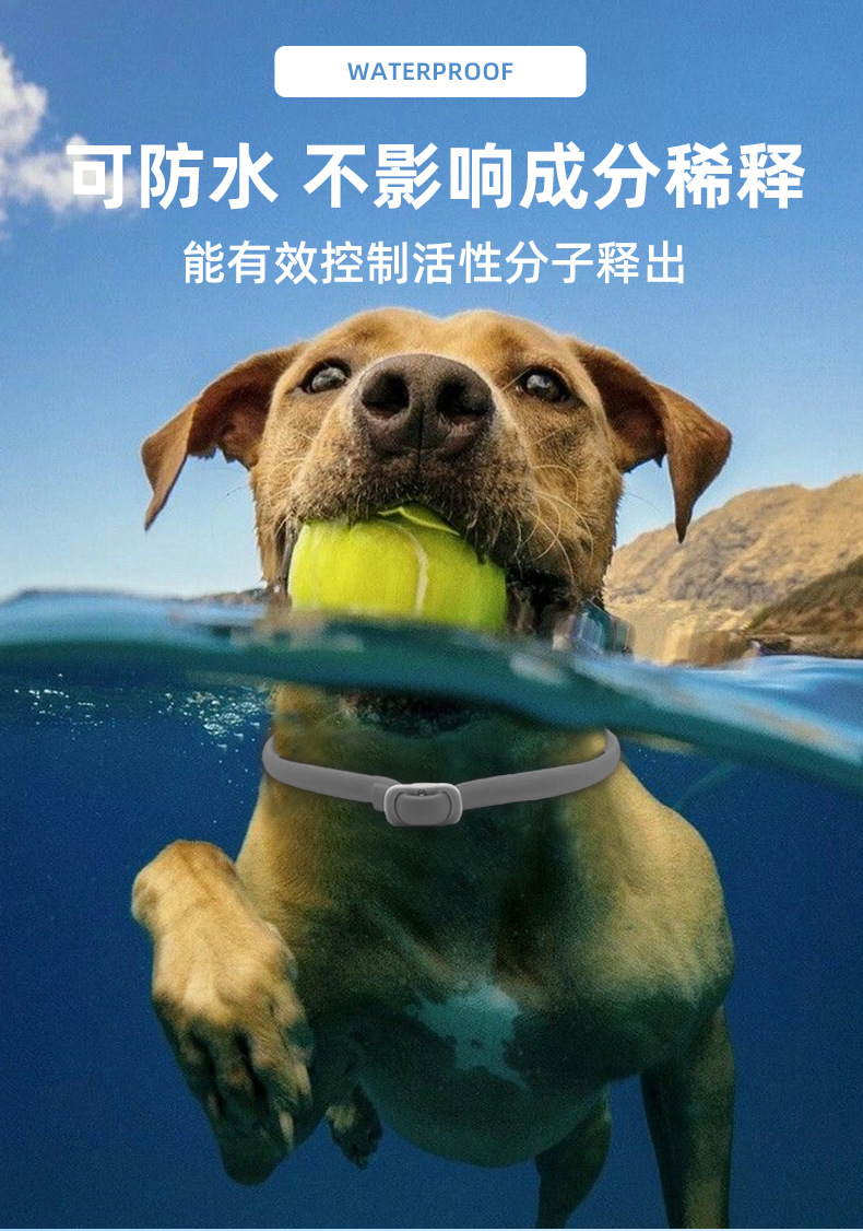 O1CN01Tmsb4Y1UGvZlfxp9j_!!2212730282491-0-cib.jpg?__r__=1722216874340