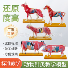 ���wᘾ�ģ�� ����ᘾ�ģ�� ��Ѩλģ�� ؈�i�R���ʘ˱� ���tᘾ�