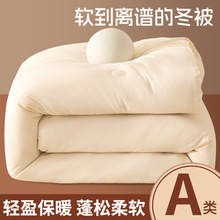 纯色被子被芯大豆纤维加厚保暖家用冬天棉被春秋空调被单双人被子
