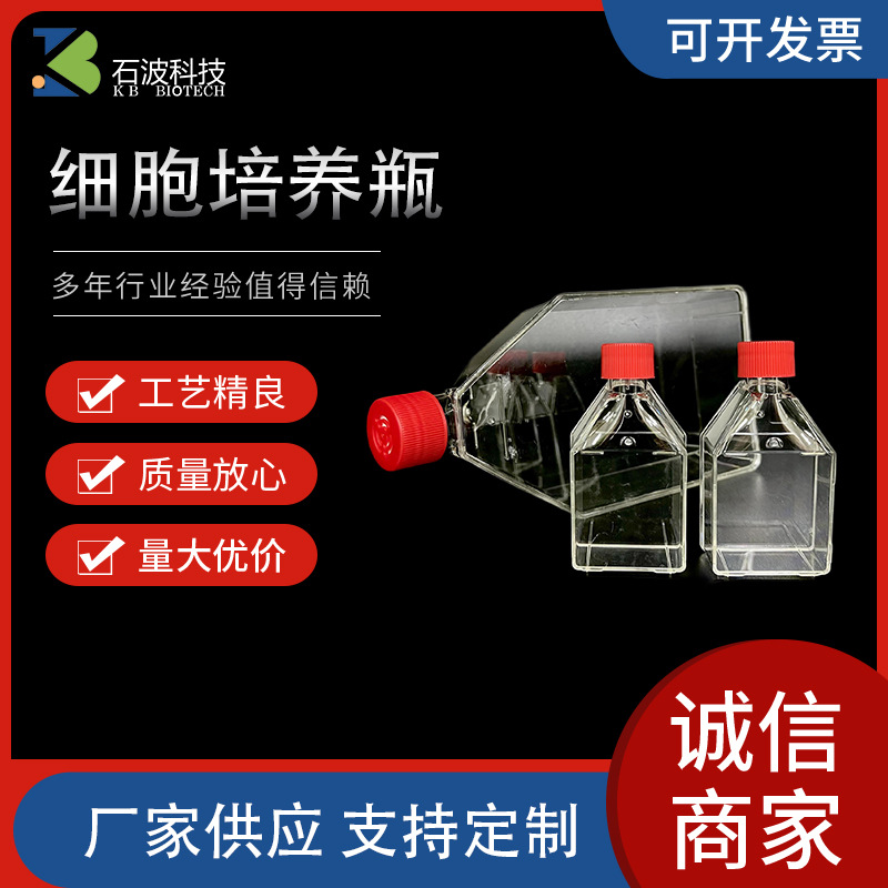 现货塑料实验室耗材TC处理斜口瓶高透明密封盖灭菌包装细胞培养瓶