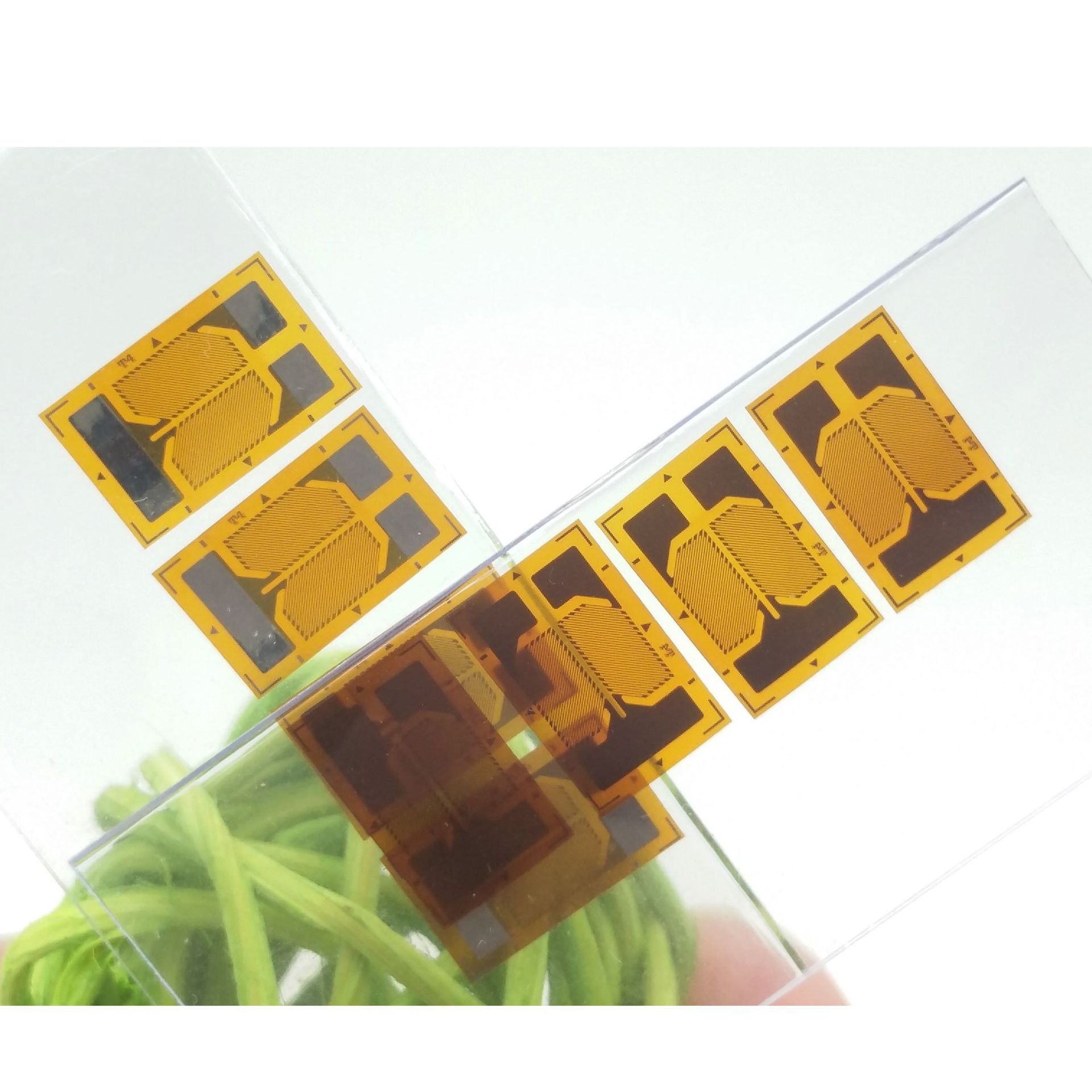 BF350-3AA(11)-T4-G-F(A级)-17.jp