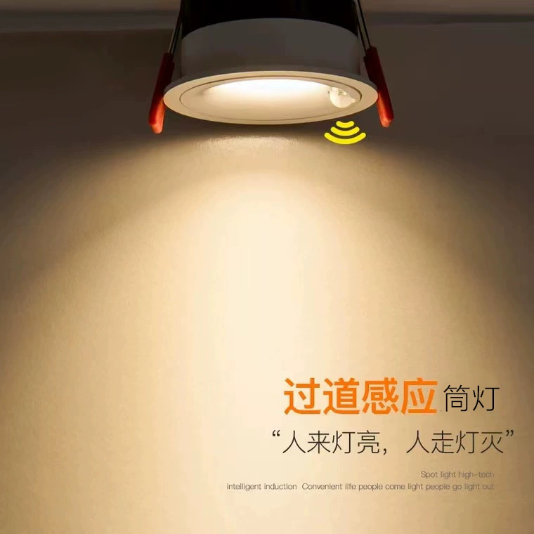 Built-in physiological induction ceiling light, lights for living room for corridor