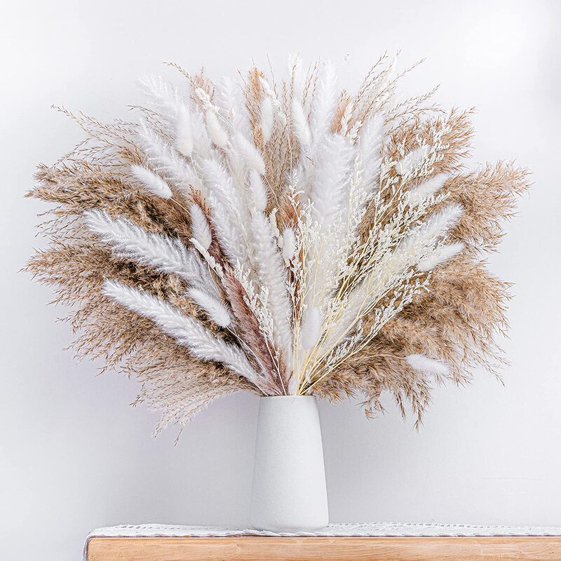 Dried Flower Bouquets Amazon Bohemian Cross-Border Reed and Pampas Grass Set Exclusively for Cross-Border Wholesale from Manufacturers Dried Flower Bouquets Amazon Bohemian Cross-Border Reed and Pampas Grass Set Exclusively for Cross-Border Wholesale from Manufacturers
