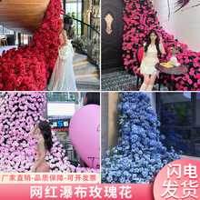 ��Ϧ����õ�廨�ٲ�520����W�t�򿨻����̈����õ��ٻ�����