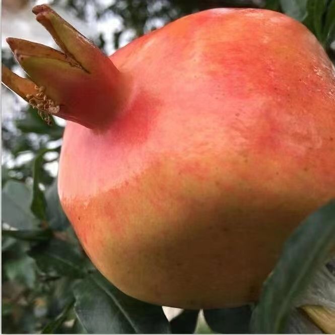 微信图片_20220804230617