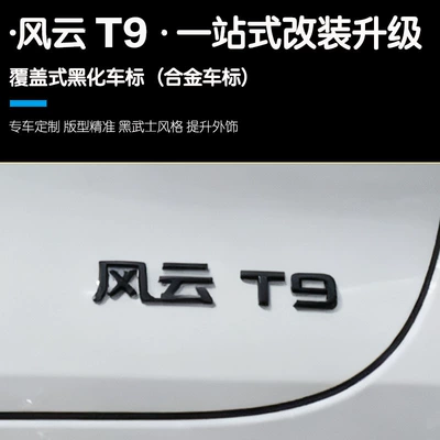 T9 Car Logo Blackening Modification, Car logo
