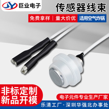NCT温度传感器线束 热敏电阻高精度温感探头空气炸锅温控仪传感器
