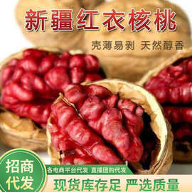 红衣核桃250g代发 批发 红仁薄皮纸皮核桃新鲜孕妇老人坚果零食