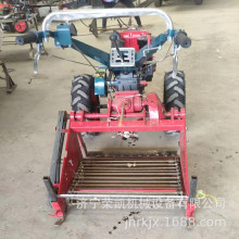 ؑcCի@C朗lӼtC 12Rַ