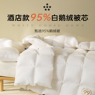 Five-star Hotel Duvet 95 White Goose down Winter Quilt Spring & Fall Quilt Double Quilt Core Thickeneded Warm Goose down Quilt