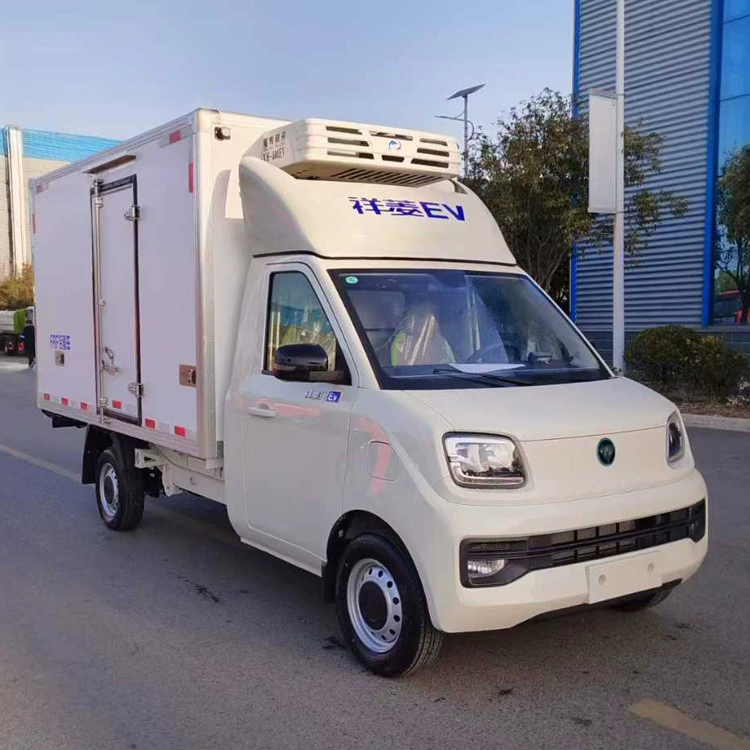 Рефрижератор Isuzu малый рефрижераторный грузовик для перевозки вакцин по низкой цене
