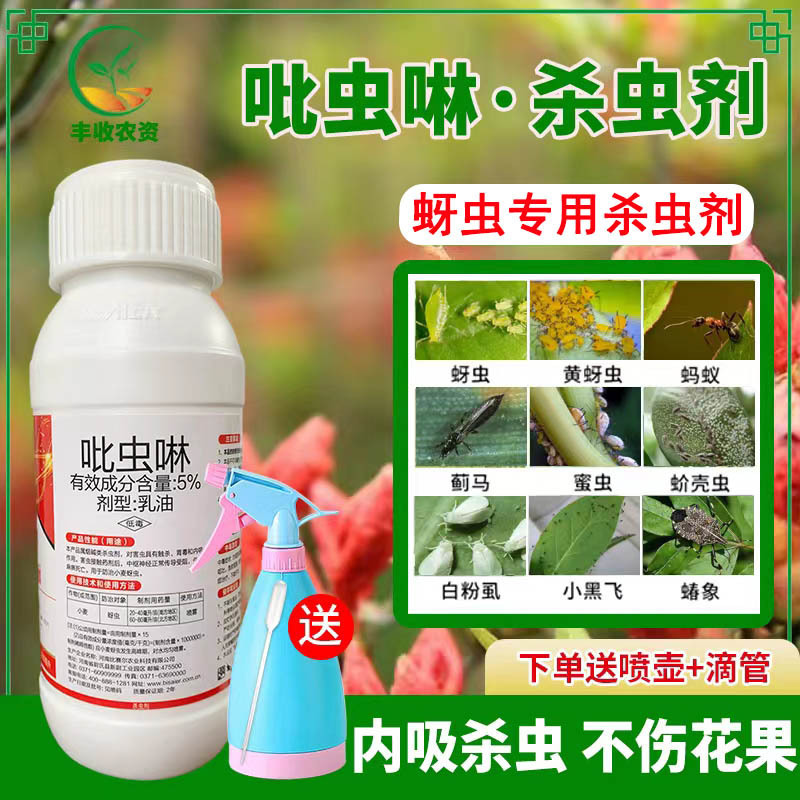Pesticide Wholesale Insecticide Imidacloprid Rose Rose Fruit Tree Plant Succulent Scale Shell Greasy Insect Thrips Aphid Medicine Pesticide Wholesale Insecticide Imidacloprid Rose Rose Fruit Tree Plant Succulent Scale Shell Greasy Insect Thrips Aphid Medicine