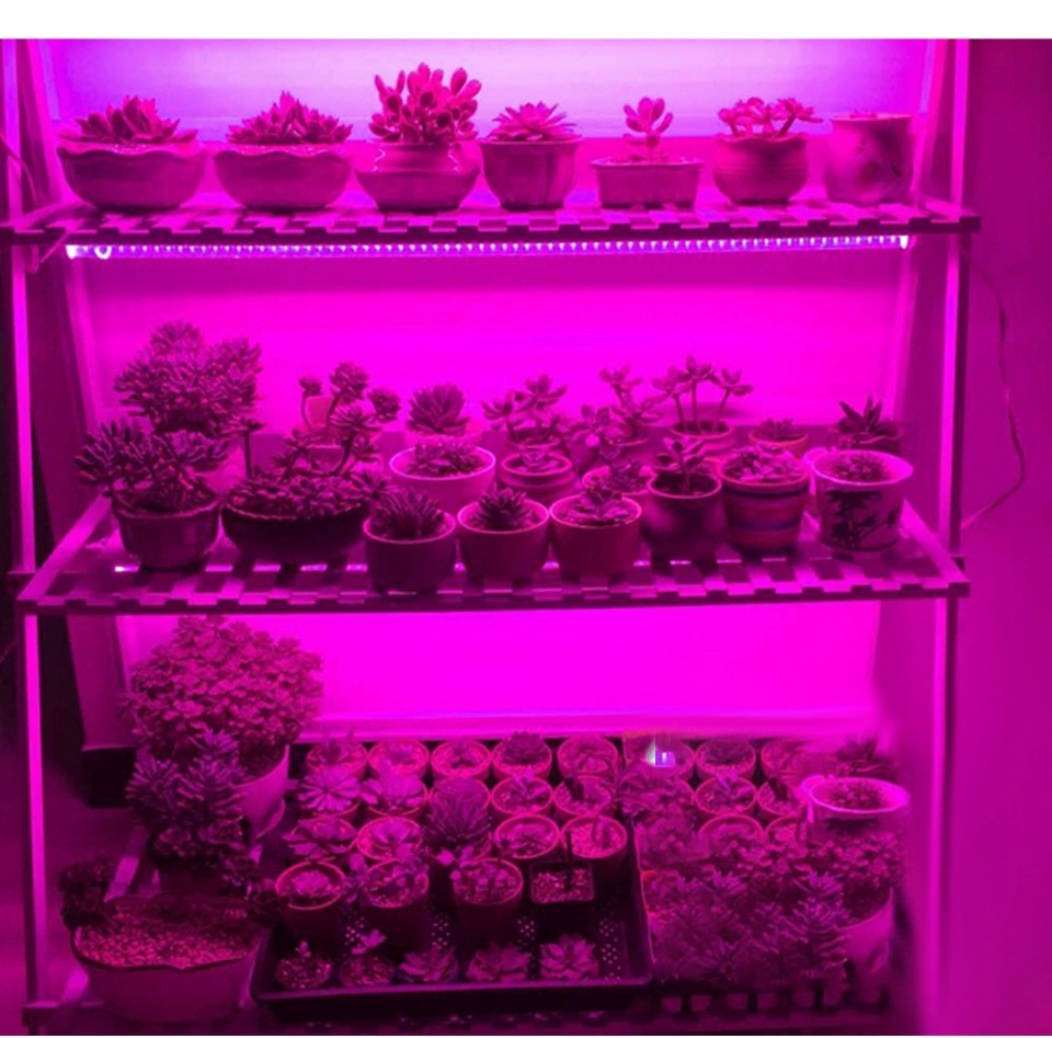 LED plant lamp, light strip, fill light, (Cross-border trading), 5v, comfortable light spectrum