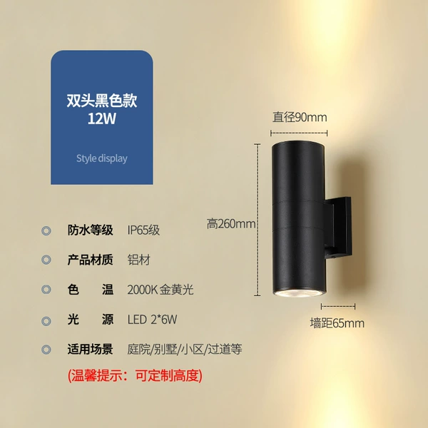 Black shell double head 12W golden light