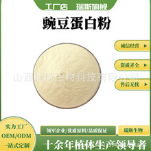 豌豆蛋白粉 多规格豌豆分离蛋白 食品级蛋白粉 源头厂家 现货包邮