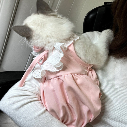 Cat dress, summer thin version, cute princess dress, backless, stuffed animal, Teddy, kitten, small dog, pet clothing