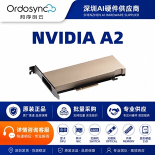 Ӣ���_A2 16GB GDDR6 Tensor Core GPU �@���͹���AI�������ٿ�