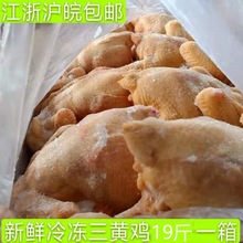 三黄鸡生鲜散养鸡土鸡二级残整箱厂直销饭店食堂商用跨境亚马逊