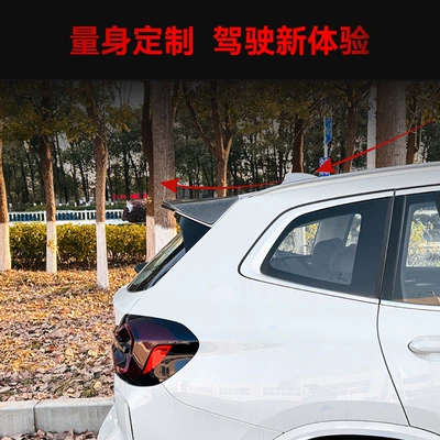 wing fixed wing spoiler cross-border – Fixed wind wing