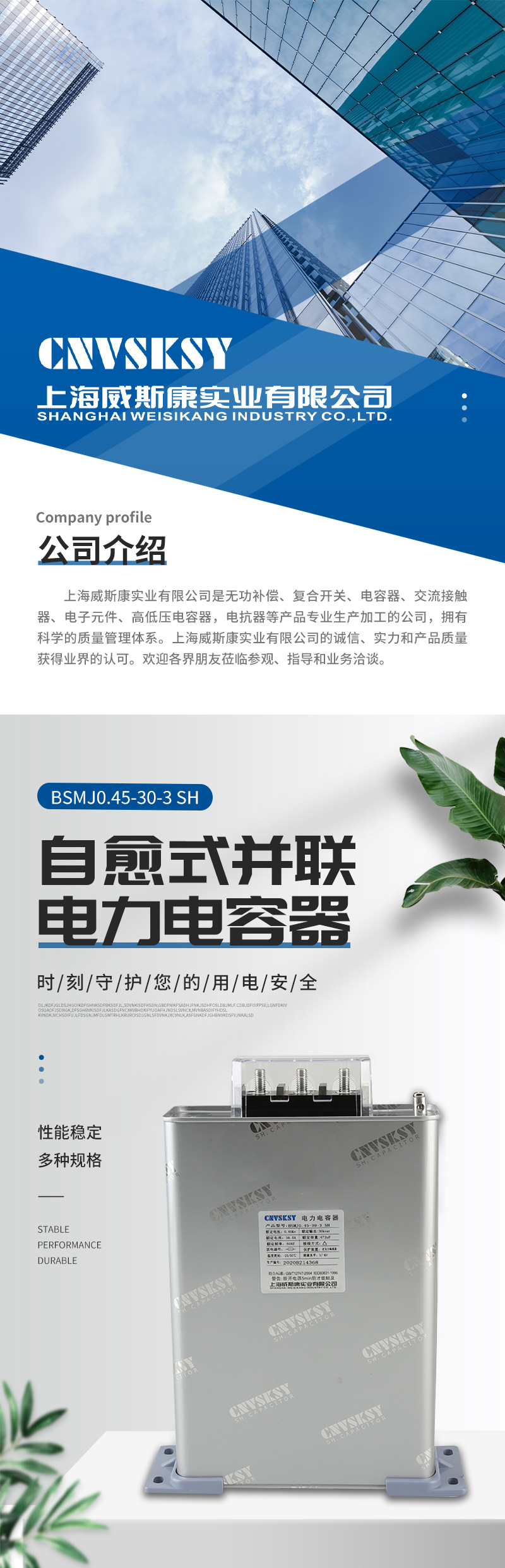 电力电容器BSMJ0_01