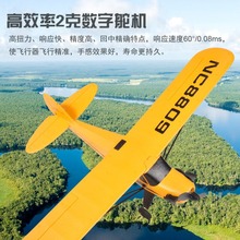 2.4G 入门级遥控拼装飞机 固定翼像真机 超韧型复合材料 滑翔机