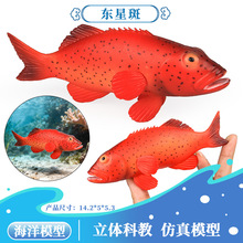 �羳���挍�ĺ�������ģ����ߖ|�ǰ߼tʯ�߻����~�ʎ��~�\���|�~