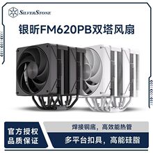 �y�(SilverStone)FM620 Pro��������p��̨ʽ��XCPUɢ����