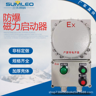 Explosion-proof Magnetic starter fan pump three-phase motor control box 220V380V control box button box 16A