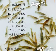 黑壳虾除藻虾观赏虾草缸活体乌龟鱼食蓝宝石虾樱花虾集火螃蟹汽水