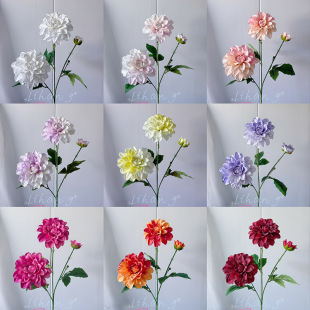 ������ѩ���������ջ����滨��c�ҾӾƵ��b[���羳���l���滨