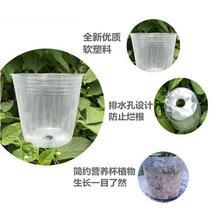 �����m���àI�B���Nֲ���m�����໨��ʯ���m����͸��������I�B��