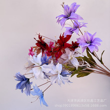 ����3�^С�ٺϻ�c�zӰ���߻�Y�Ƶ�[��·�����ŏS�����l