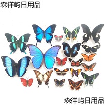 �����x�̌W�G���Żҵ����N���׃��@����ԭ��չ���s�����x�P������