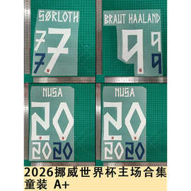 2026挪威世界杯主场合集图片版 童装  A+球衣号字母烫画号码热转
