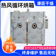 热风循环烘箱 果蔬脱水烘干机 恒温电气两用设备 食品 化工干燥箱