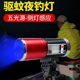 手电筒;头灯头戴电筒;钓鱼灯