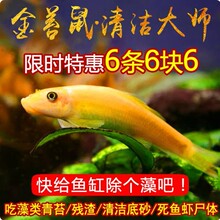 ������~��̦���~���坍�����幤���~С�͟Ꭷ�^�p�~�������~���w