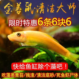 ������~��̦���~���坍�����幤���~С�͟Ꭷ�^�p�~�������~���w