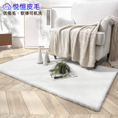 跨境方形仿兔毛地毯客厅加厚可机洗耐脏毛绒沙发家用床边地毯卧室