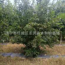 ��Ǘ������l���̾G����ľС�^ͥ�a��@���^�pֲ����Ǘ�