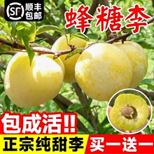 �������Ә���޽��ش�����Ó��������ӹ������ϱ����N���A�����