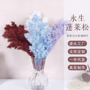 �������R�ɸɻ����l��ˇ���r���ֹ�����diy��Ļ�����Ʒ�����x
